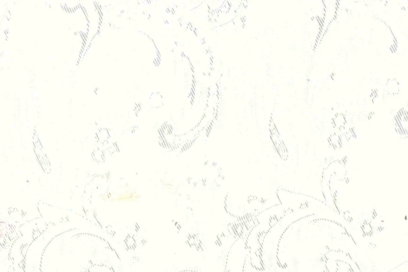 Linings 28712-52 WHITE PAISLEY fabric swatch