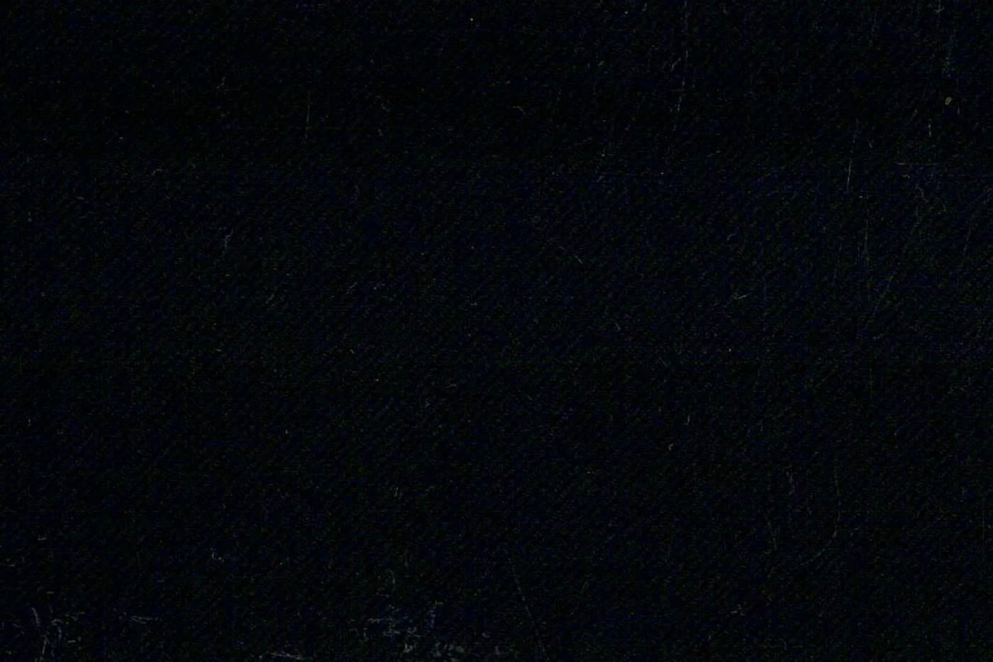 Loro Piana Super 130's 26640-630 BLACK SOLID fabric swatch