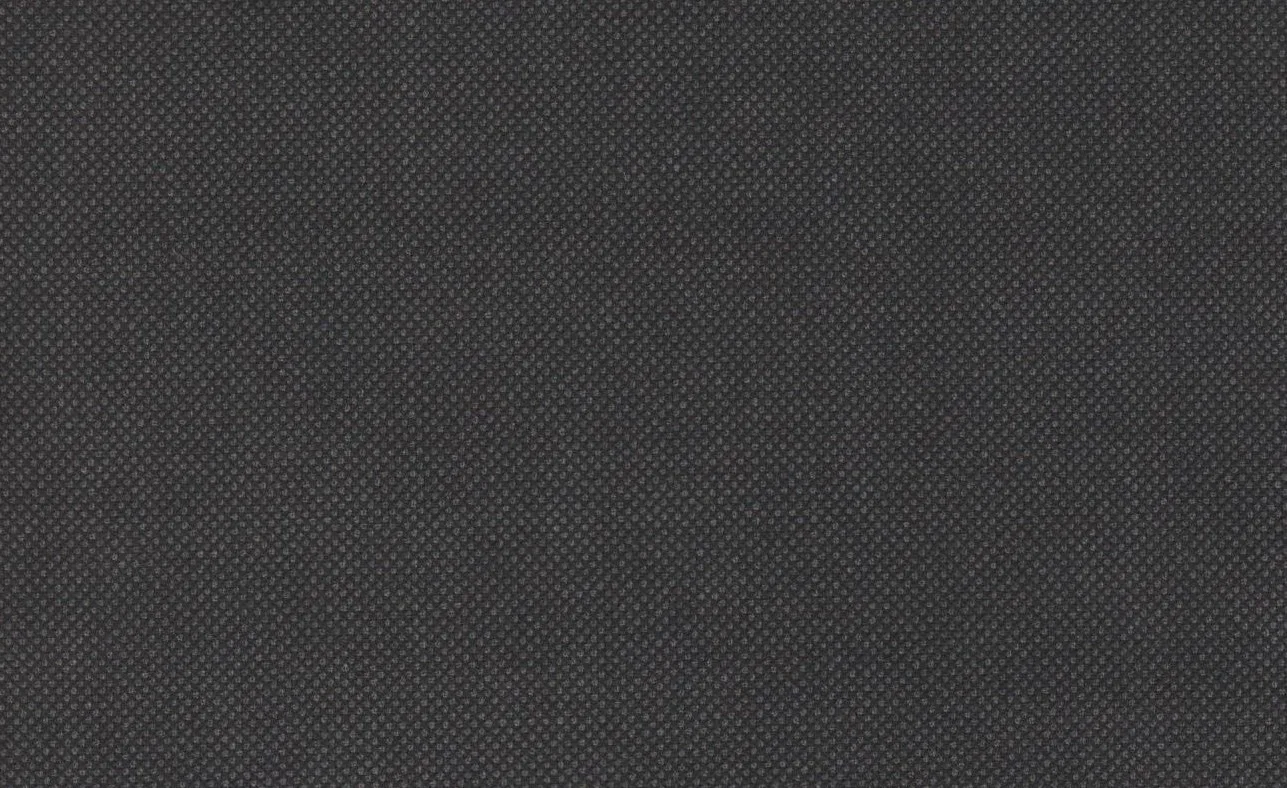 Loro Piana Super 150's 29067-1100 CHARCOAL BIRDSEYE fabric swatch