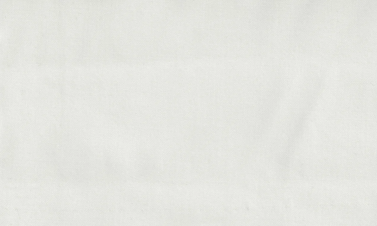 Loro Piana Super 150's 29072-1100 OFF WHITE fabric swatch