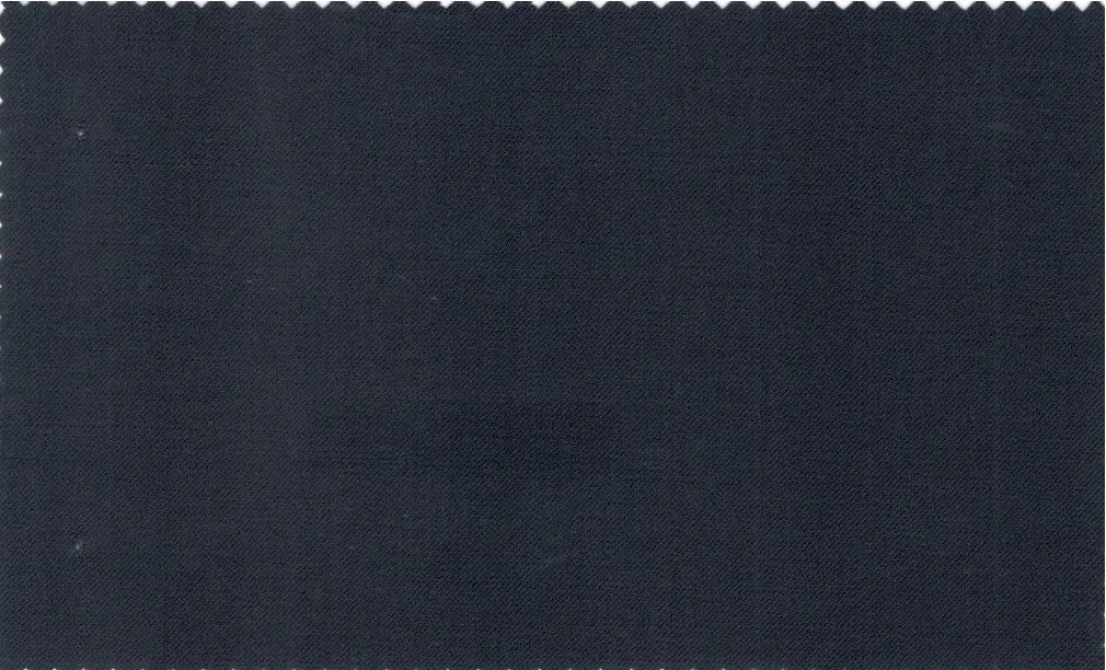 Loro Piana Super 150's 29759-1100 Dark Blue fabric swatch