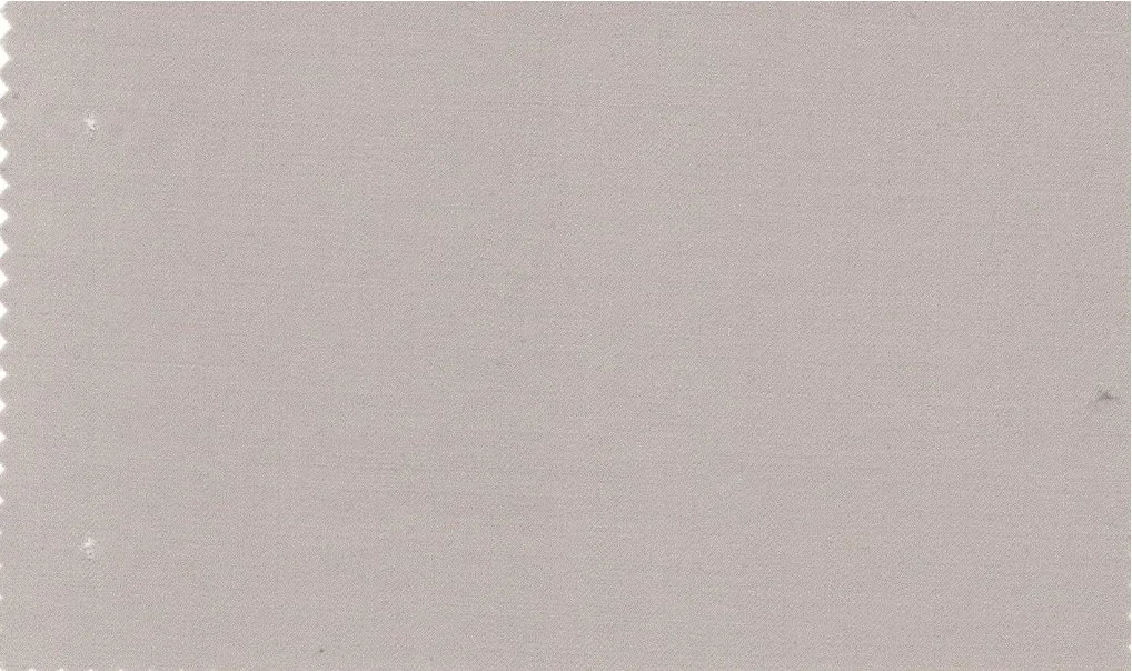 Loro Piana Super 150's 29761-1100 Light Tan fabric swatch