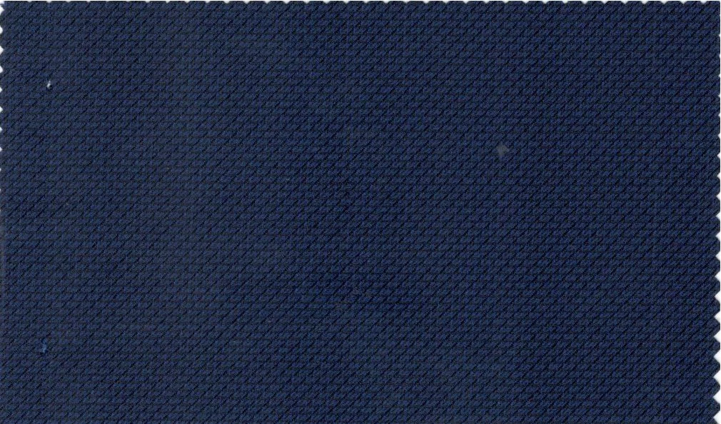Loro Piana Super 150's 29905-950 Blue Self fabric swatch
