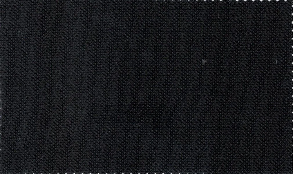 Loro Piana Super 150's 29909-950 Black Hopsack fabric swatch