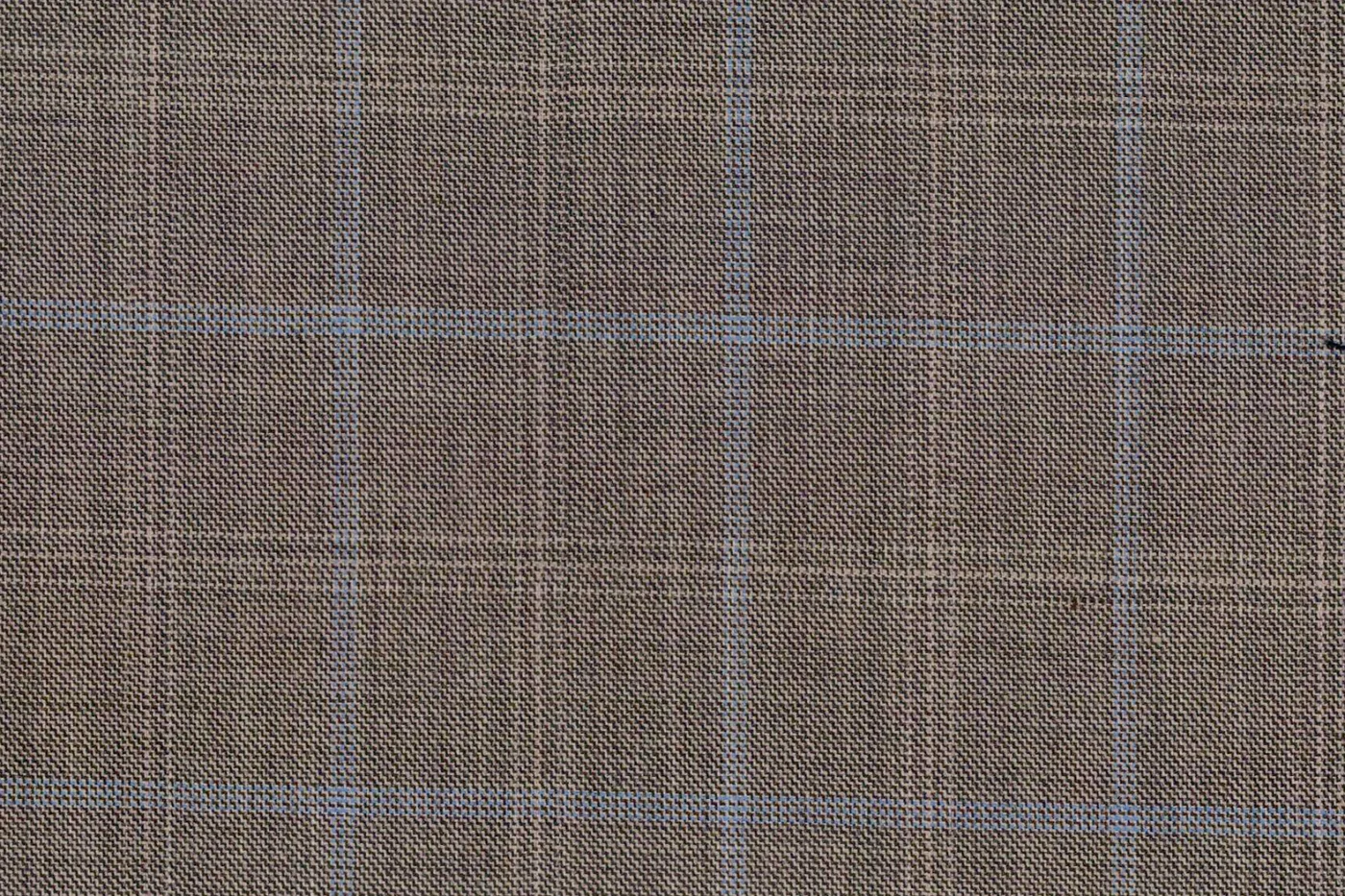 Lucciano Rossi 25331-210 TAUPE W/BLUE WP fabric swatch