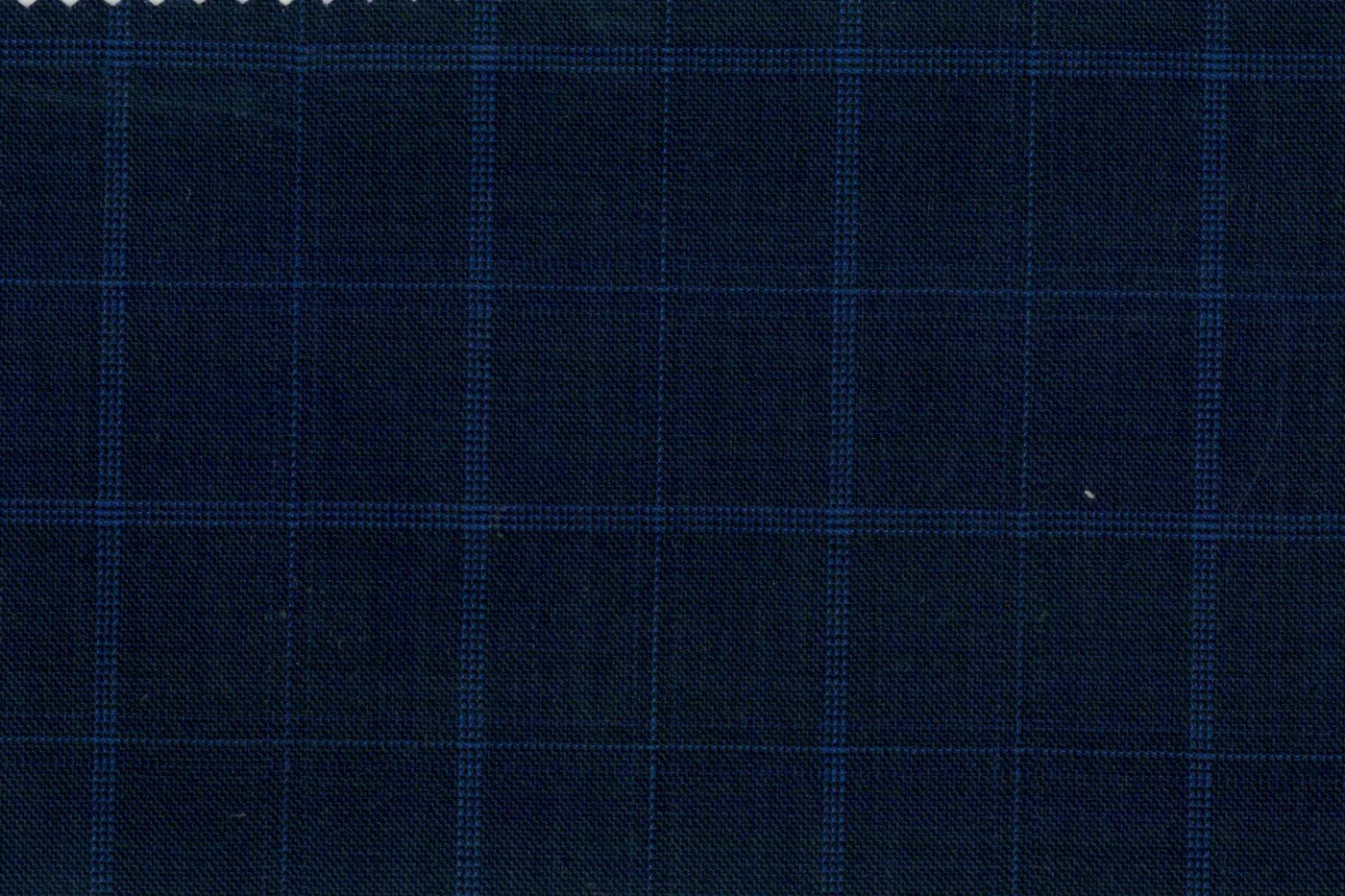 Lucciano Rossi 25332-210 NAVY W/BLUE WP fabric swatch