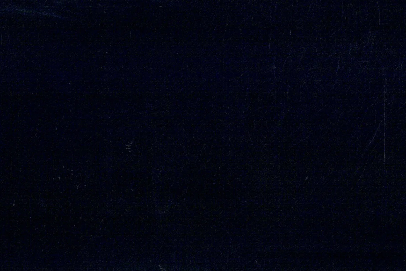 Lucciano Rossi 25345-210 NAVY BIRDSEYE fabric swatch