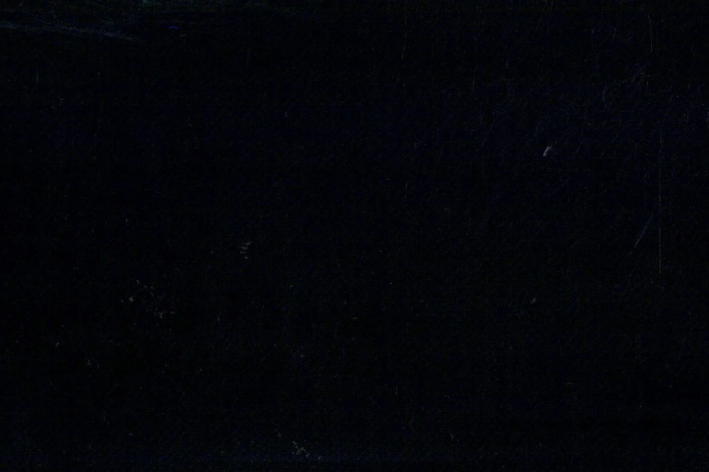 Lucciano Rossi 25346-210 BLACK BIRDSEYE fabric swatch
