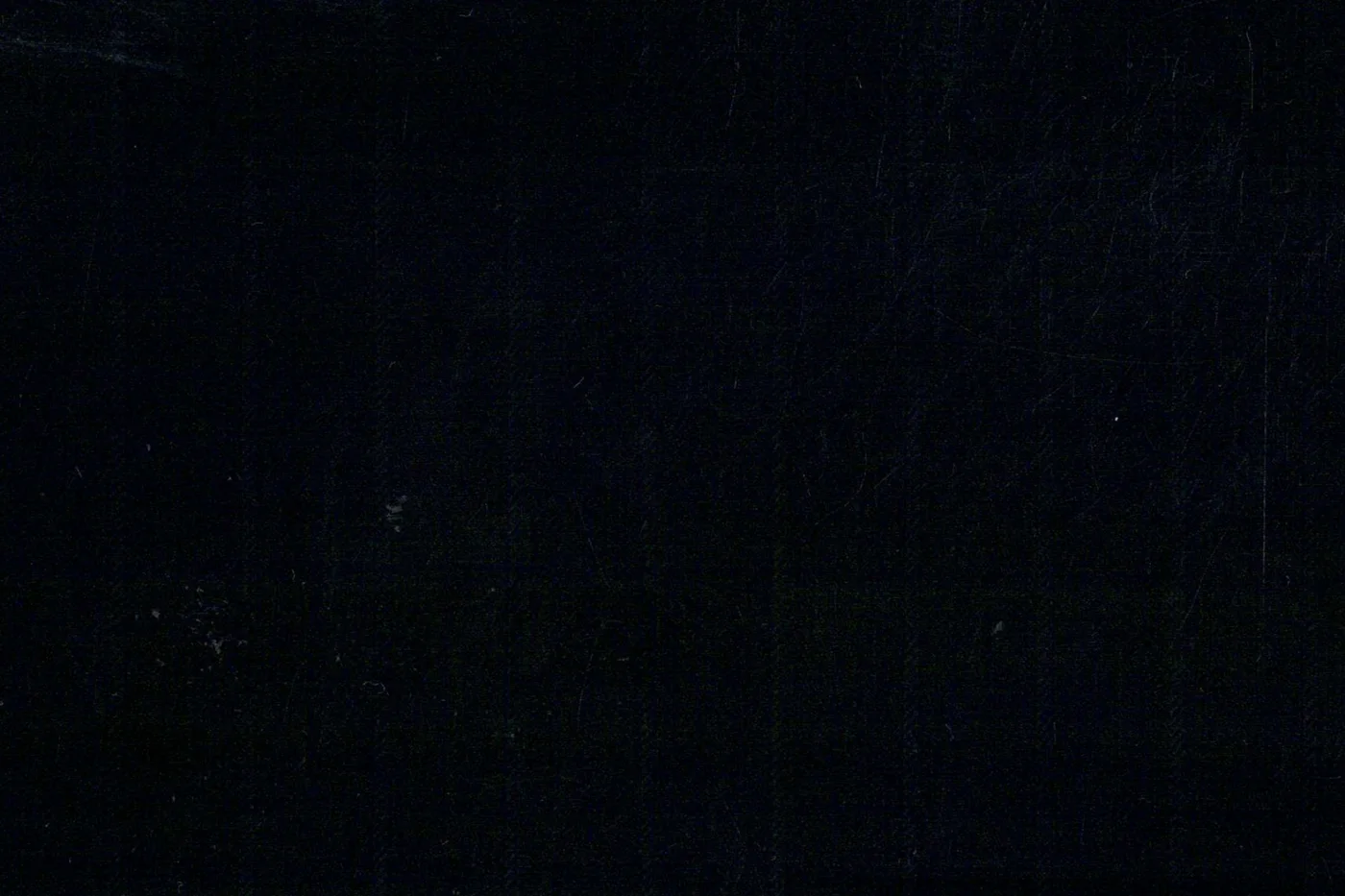 Lucciano Rossi 25356-210 BLACK SELF STR fabric swatch