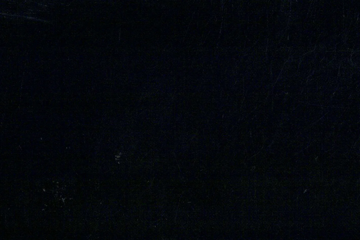 Lucciano Rossi 25358-210 BLACK SELF STR fabric swatch