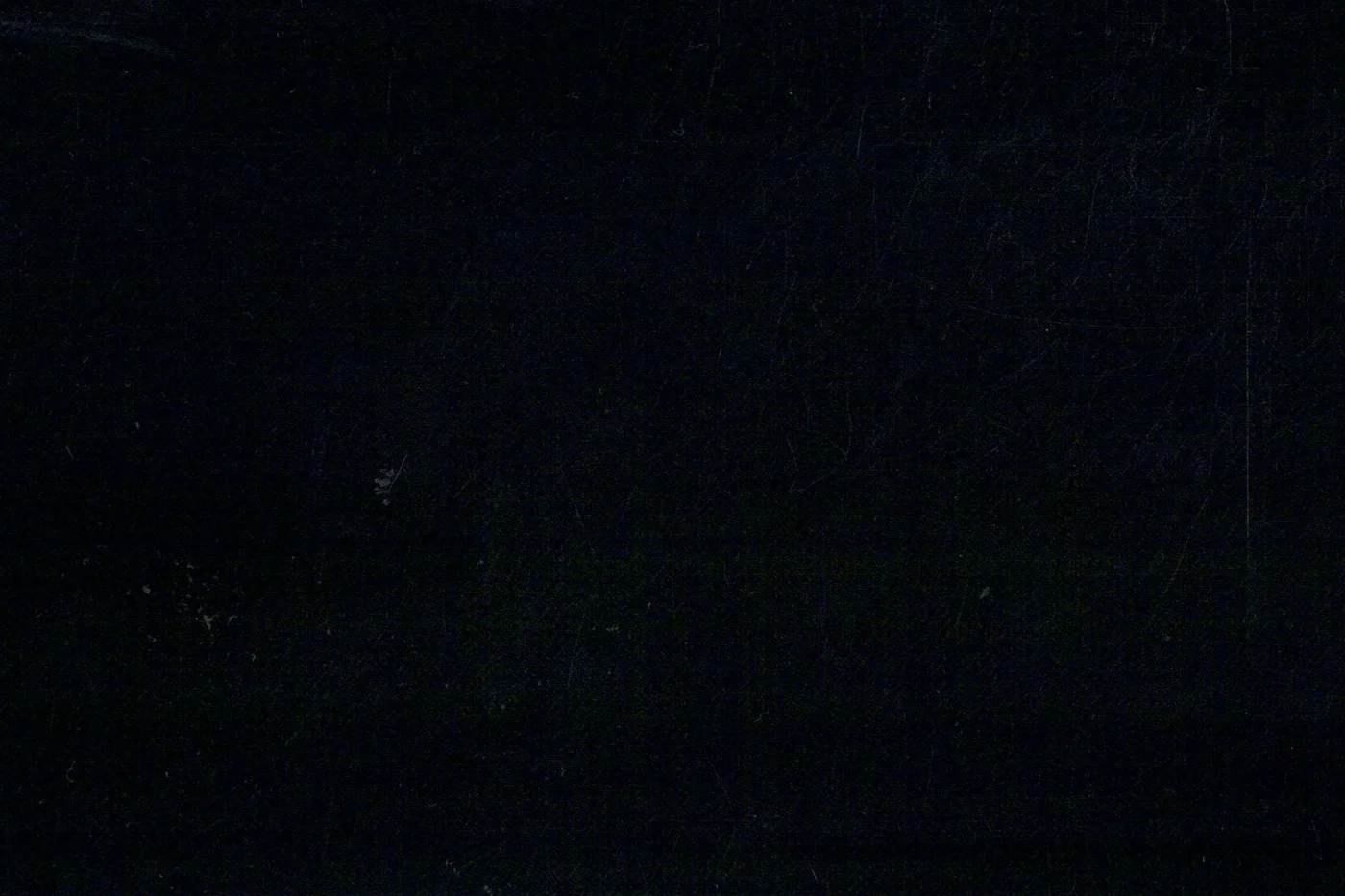 Lucciano Rossi 25370-210 BLACK fabric swatch