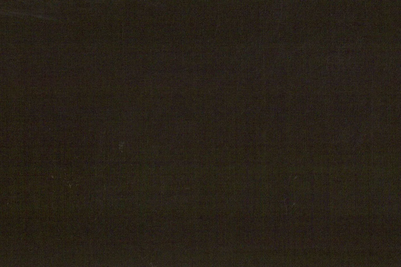 Lucciano Rossi 25373-210 DARK BROWN fabric swatch
