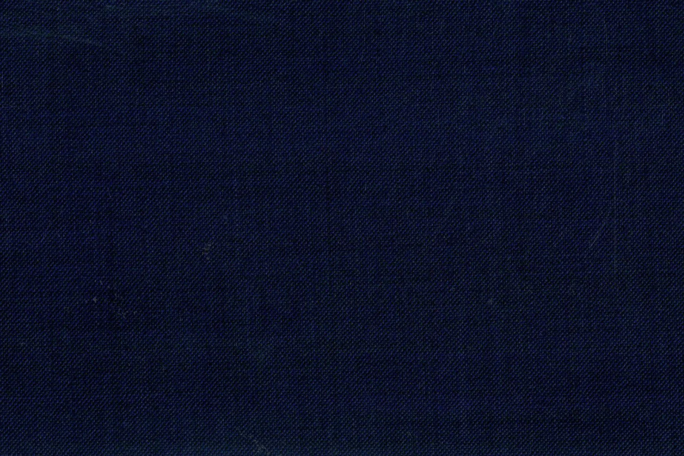 Lucciano Rossi 26700-210 NAVY BLUE SSKIN fabric swatch