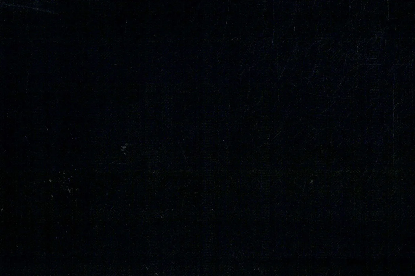 Lucciano Rossi 27237-210 BLACK SELF STR fabric swatch