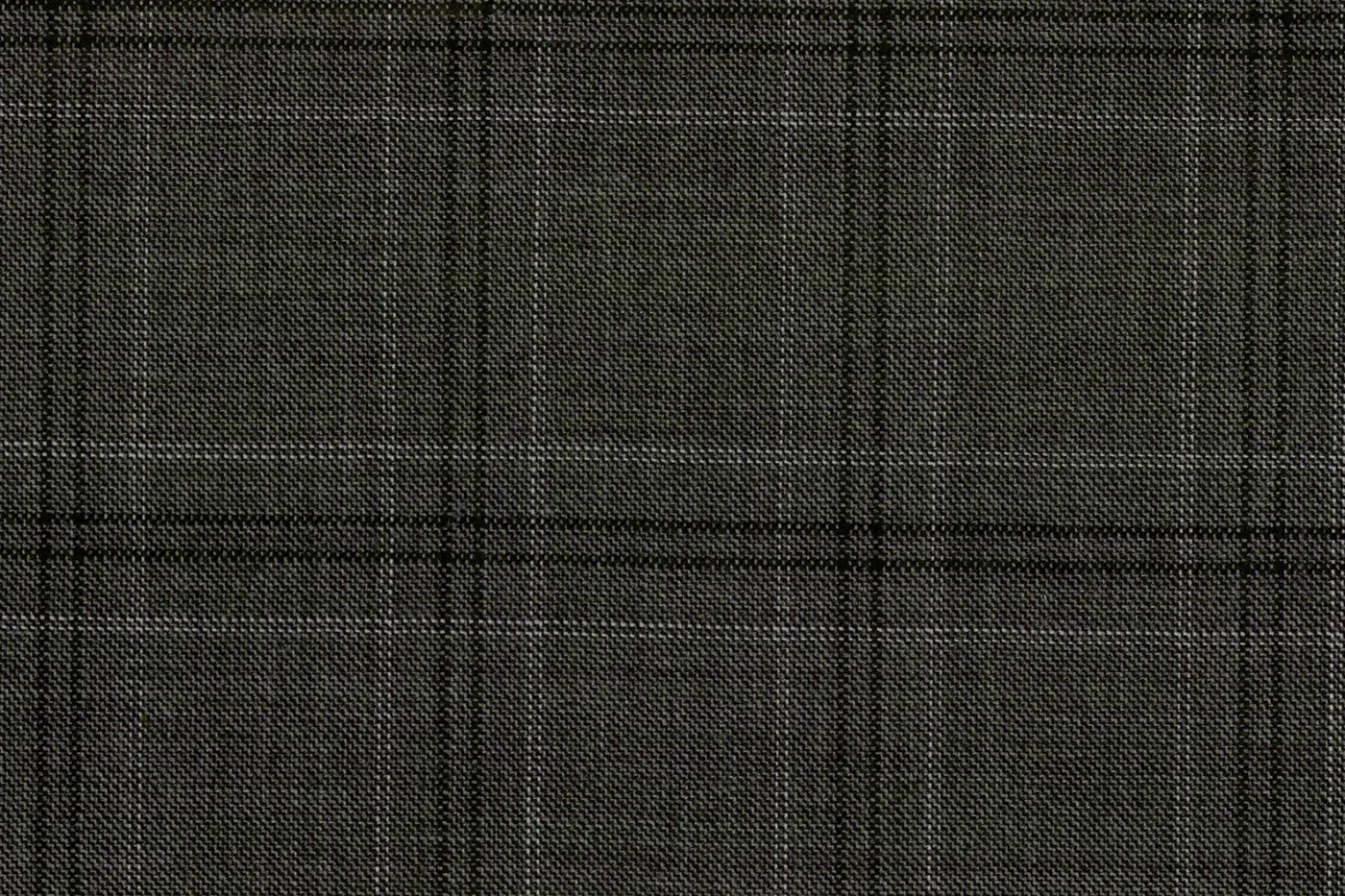 Lucciano Rossi 27909-210 DARK GREY WPANE fabric swatch