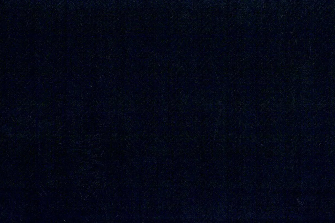 Marco Polo 25839-180 DARK NAVY HBONE fabric swatch