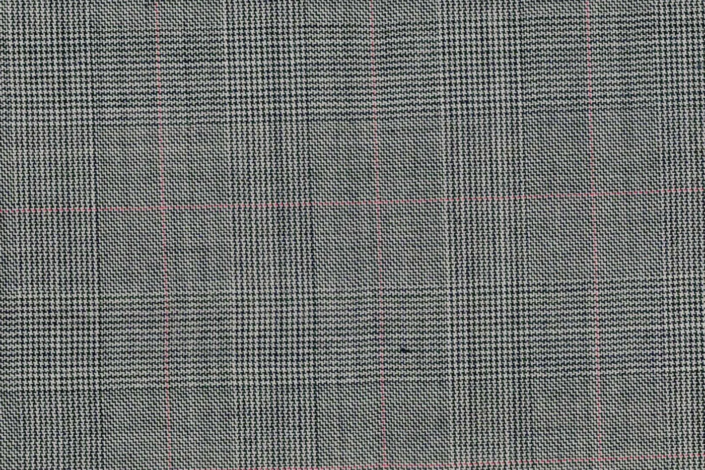 Marco Polo 25851-180 LT.GREY W/RED CHK fabric swatch