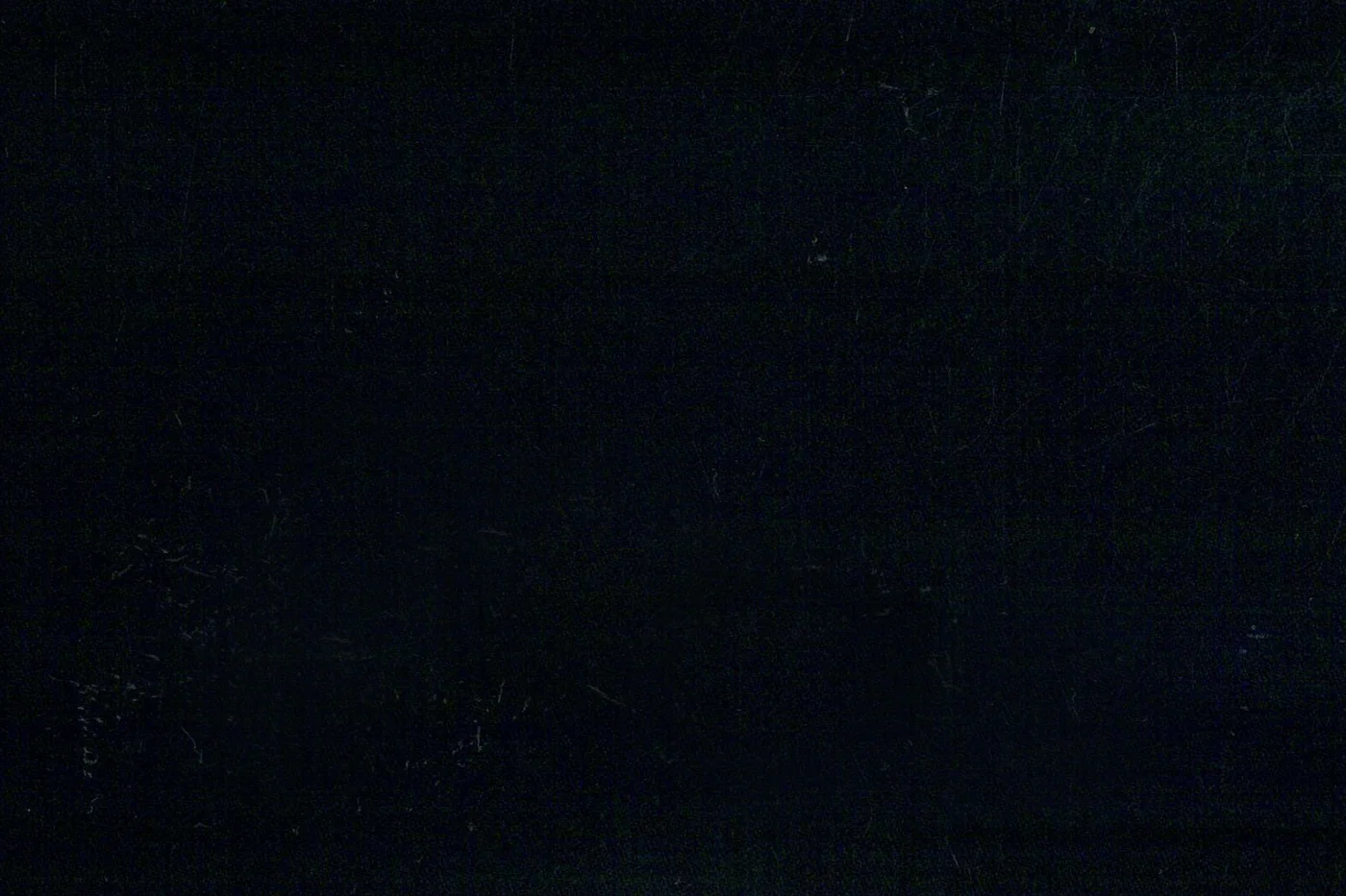 Marzotto Super 150's 25500-320 BLACK fabric swatch