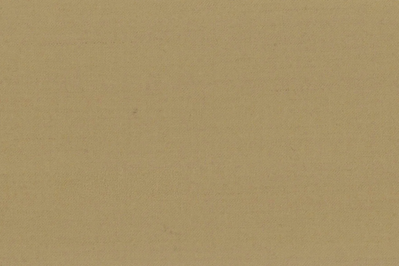 Marzotto 20950-280 BEIGE fabric swatch