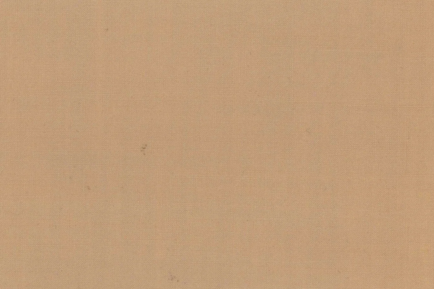 Marzotto 23019-220 TAN fabric swatch