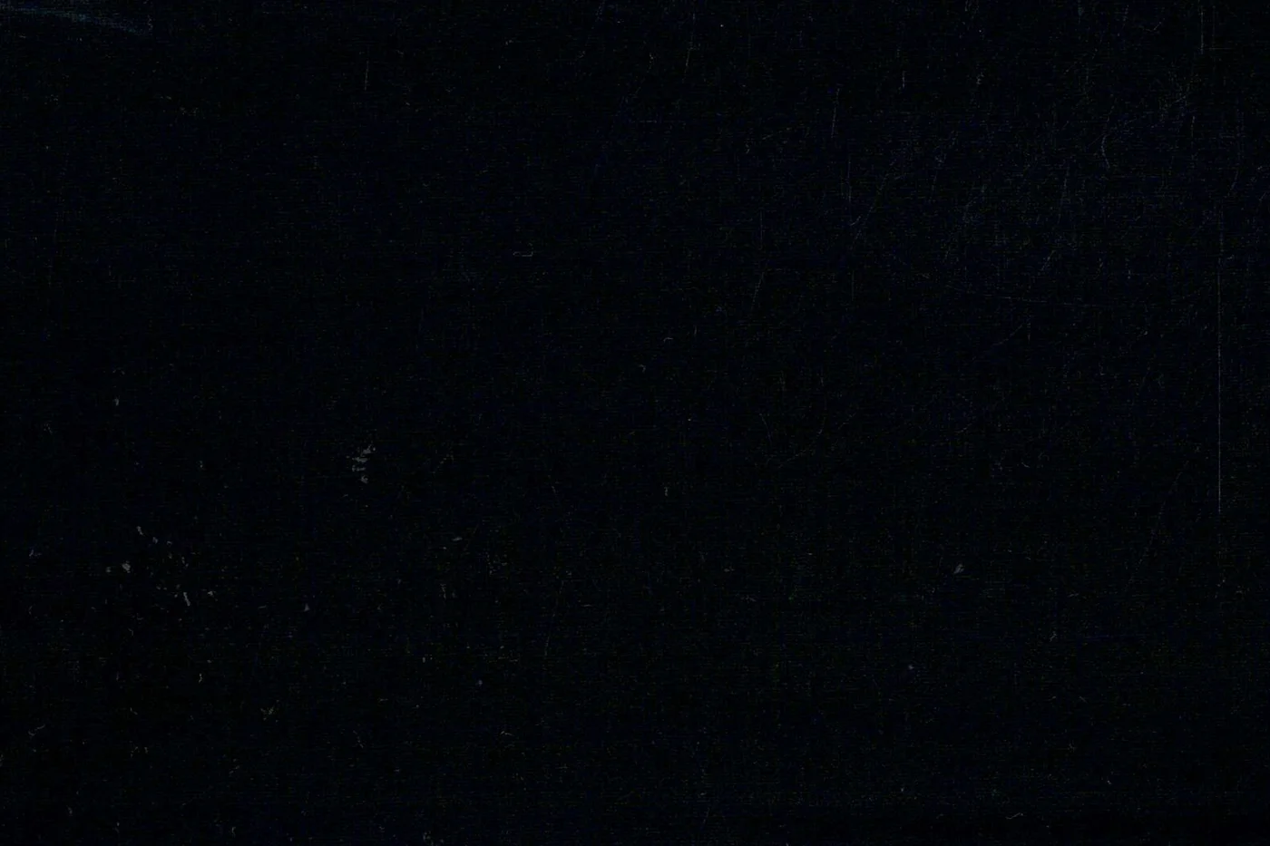 Marzotto 23650-190 BLACK fabric swatch