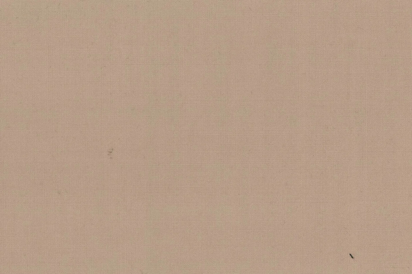 Marzotto 23652-190 BEIGE fabric swatch