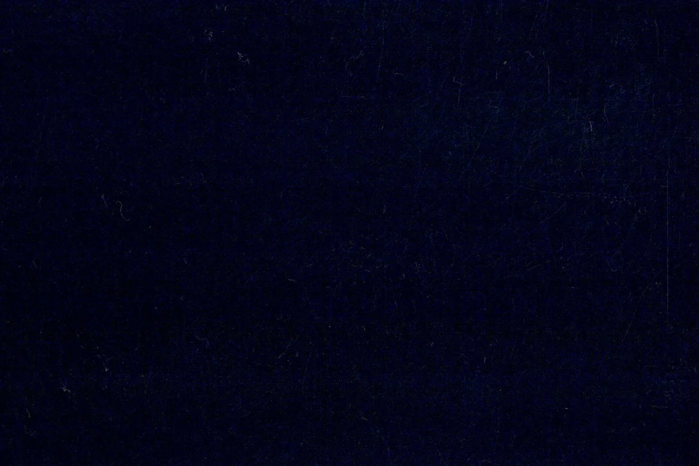Marzotto 23950-260 LT.NAVY fabric swatch