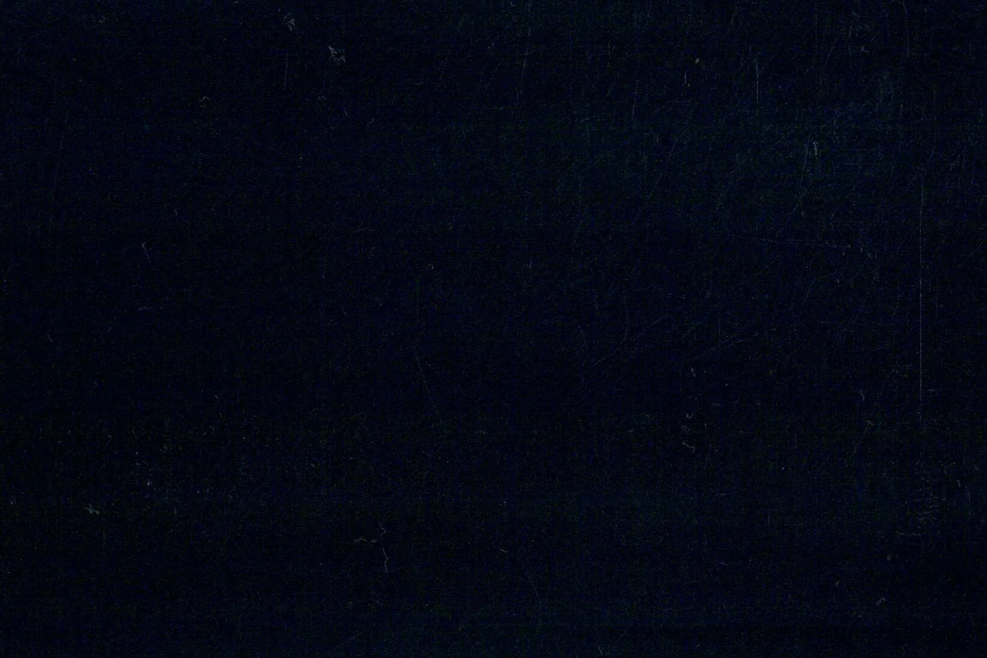 Marzotto 23951-260 DARK NAVY fabric swatch
