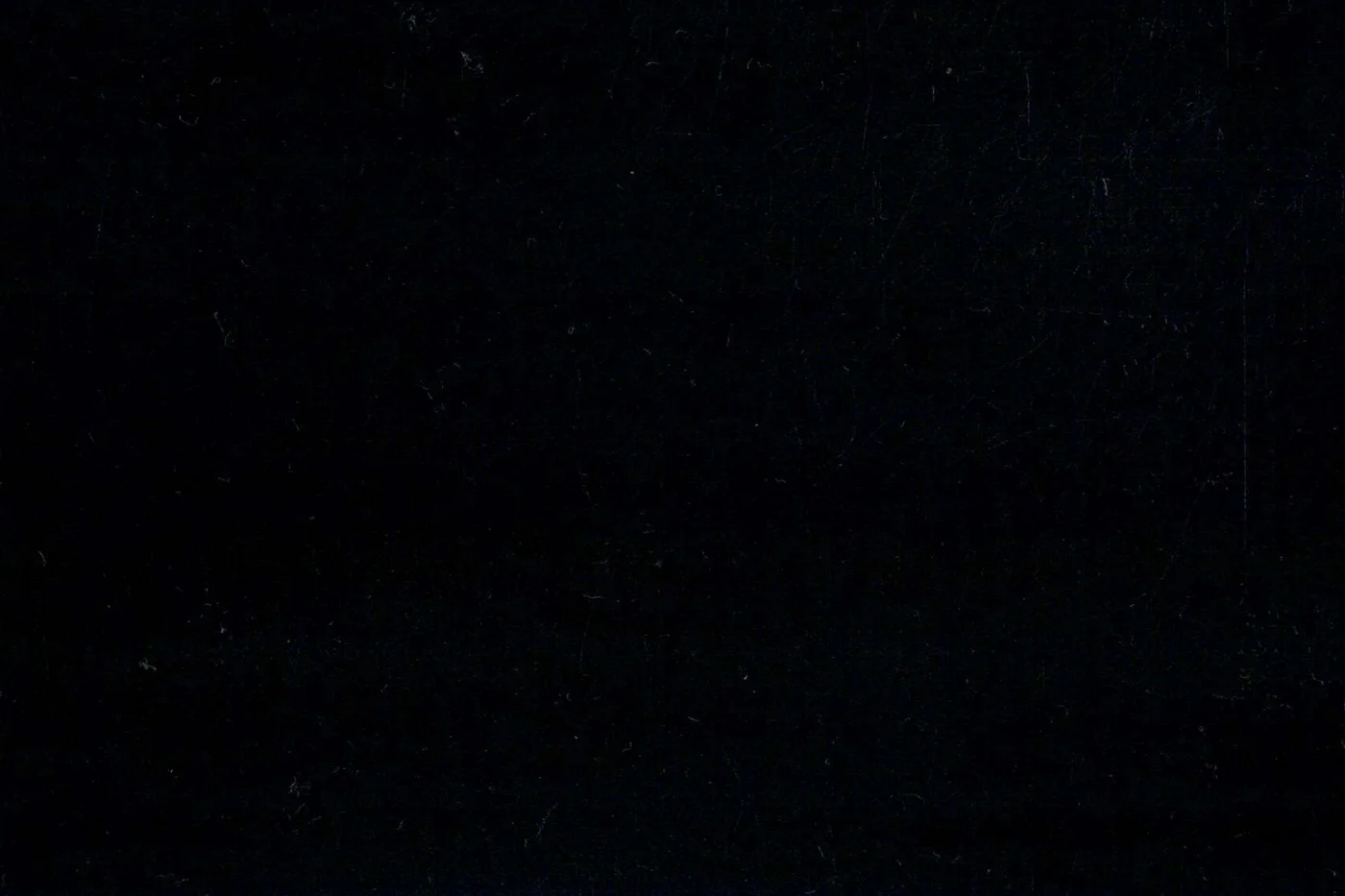 Marzotto 23952-260 BLACK fabric swatch