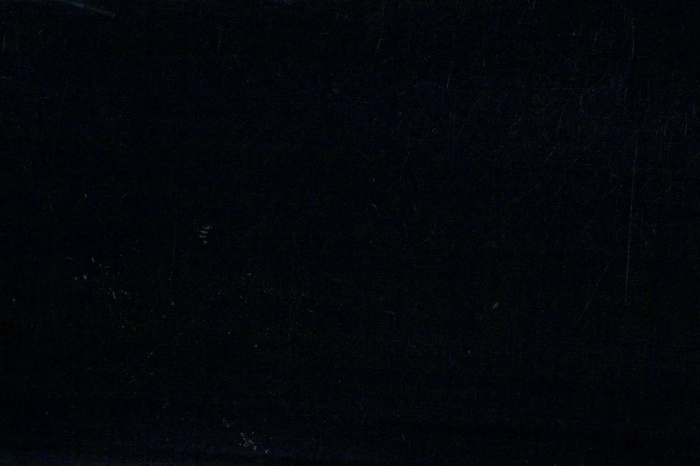 Marzotto 24679-220 BLACK fabric swatch