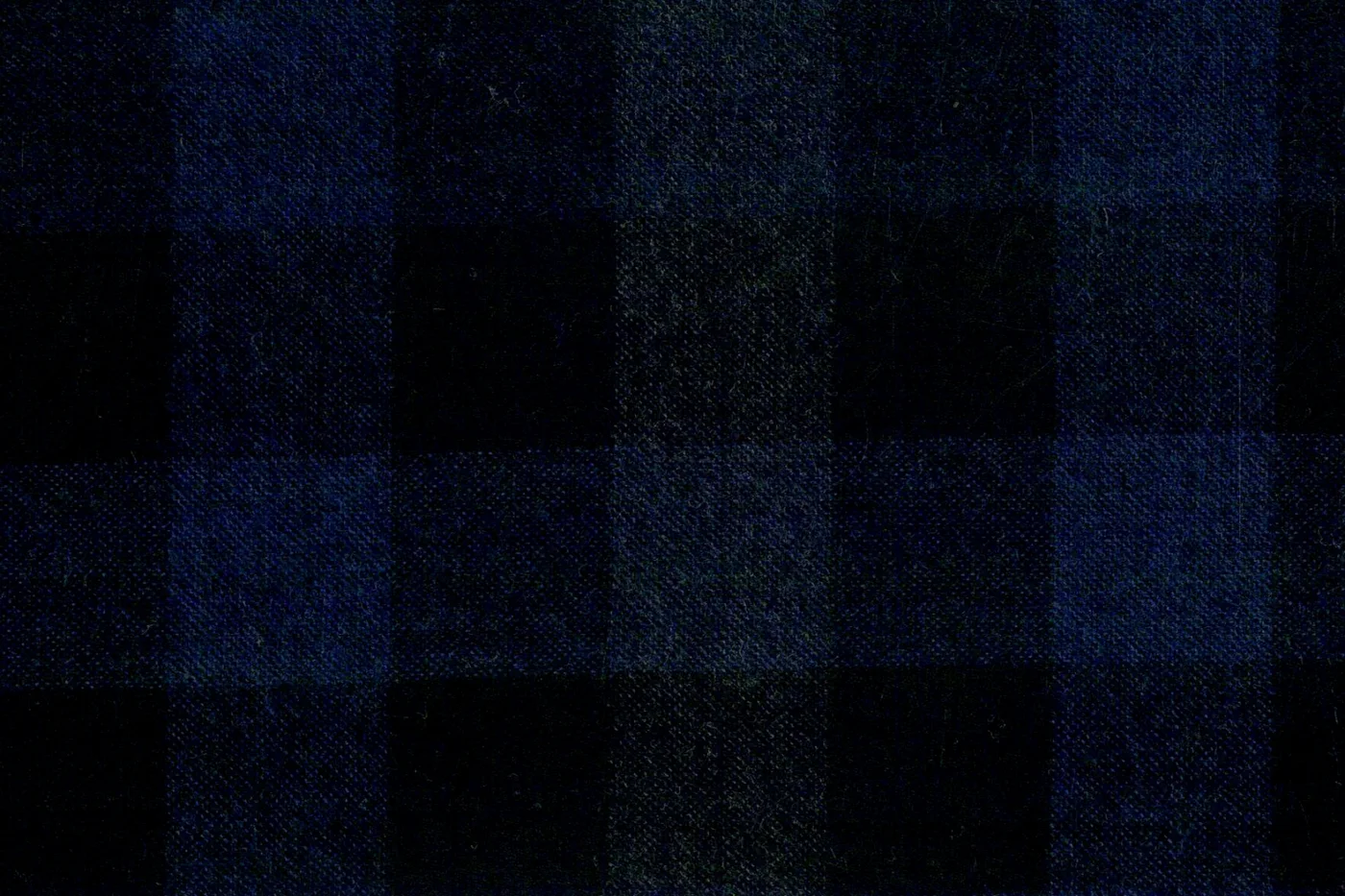 Marzotto 26230-295 BLACK W/BLUE CHECK fabric swatch