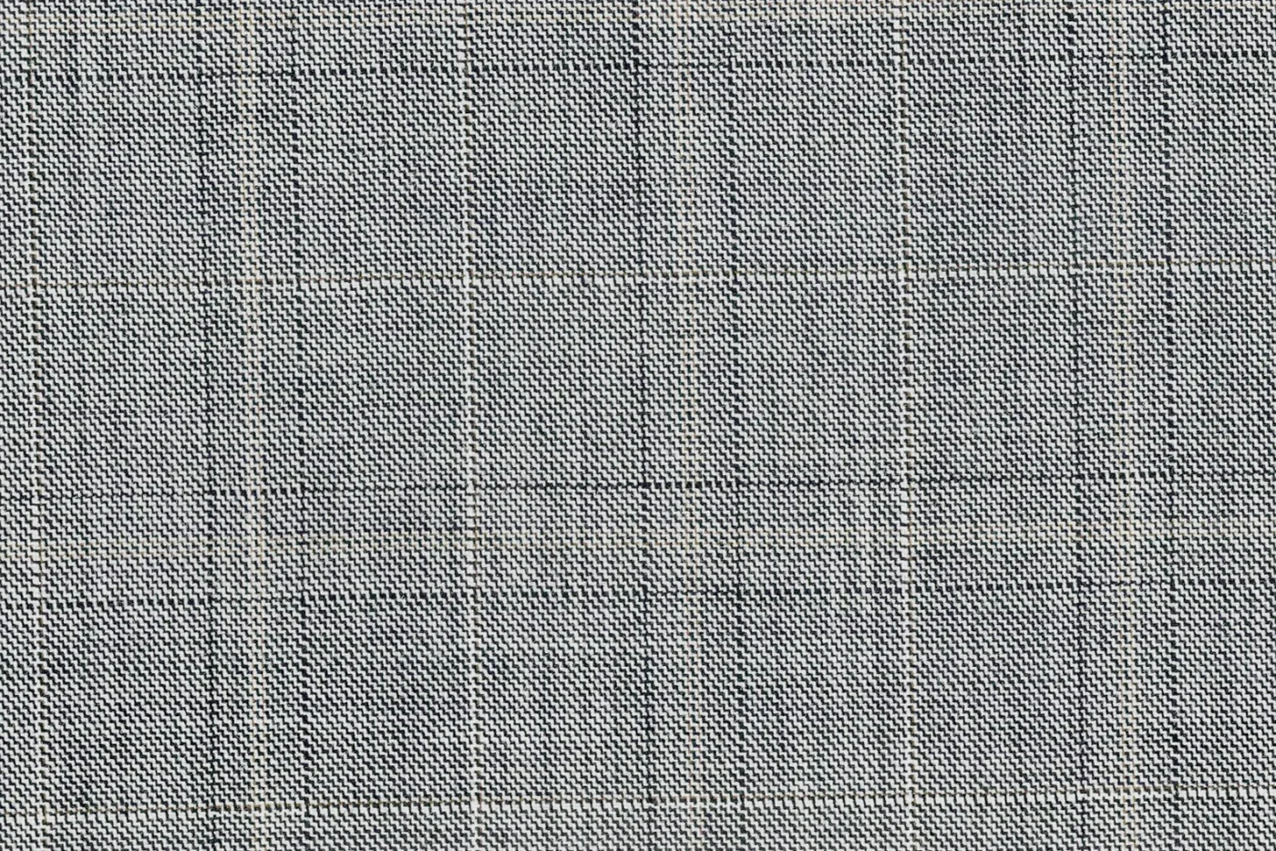 Mayfair 25651-120 LIGHT GREY WPANE fabric swatch