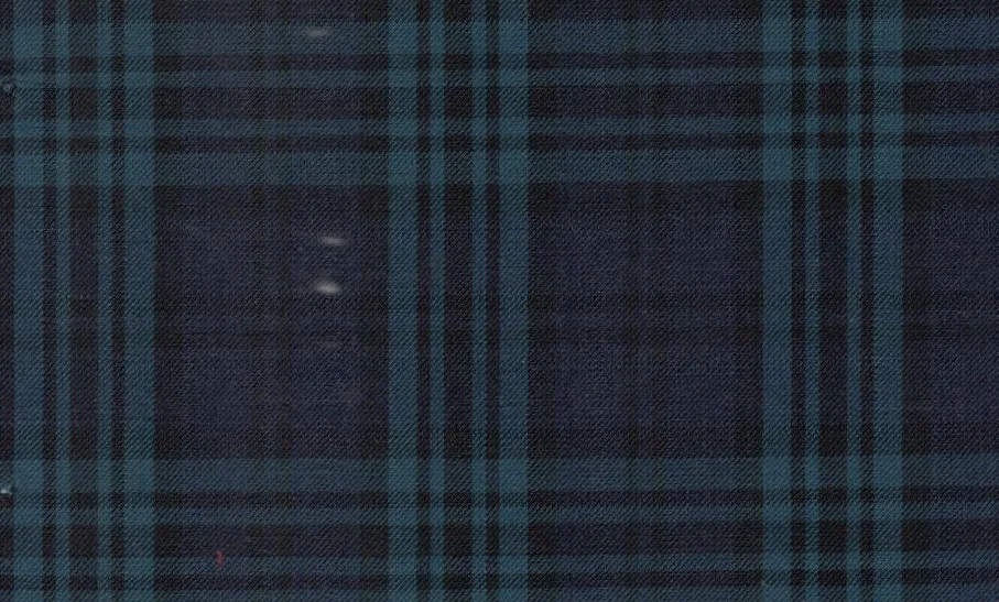 Mayfair 29960-130 Blue w/ Green Check fabric swatch