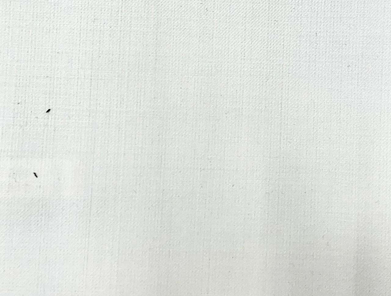 Michelangelo Stretch Wool 28981-160 WHITE fabric swatch