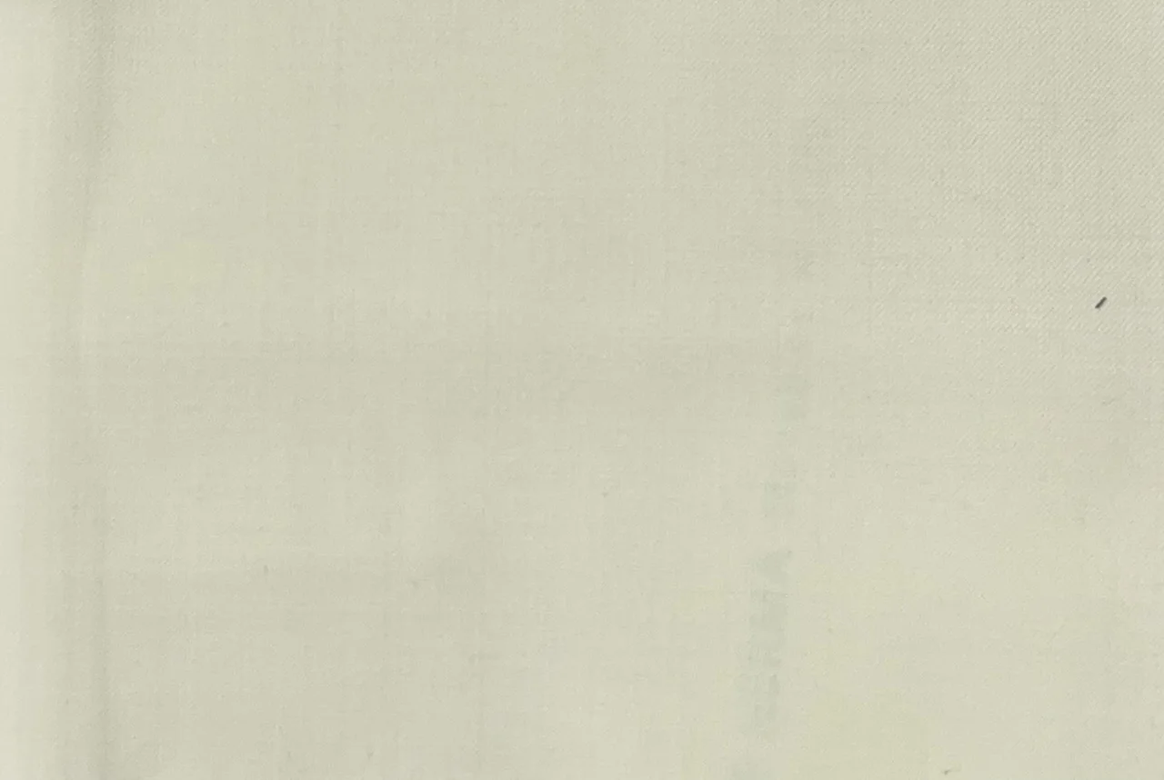 Michelangelo Stretch Wool 28982-160 CREAM fabric swatch