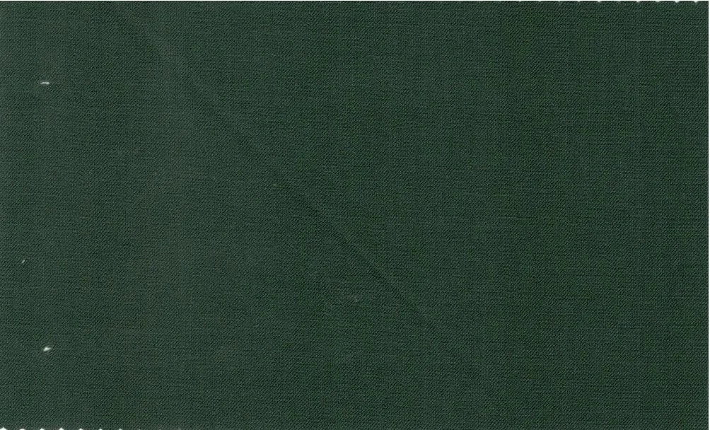 Michelangelo Stretch Wool 29829-160 Bottle Green fabric swatch