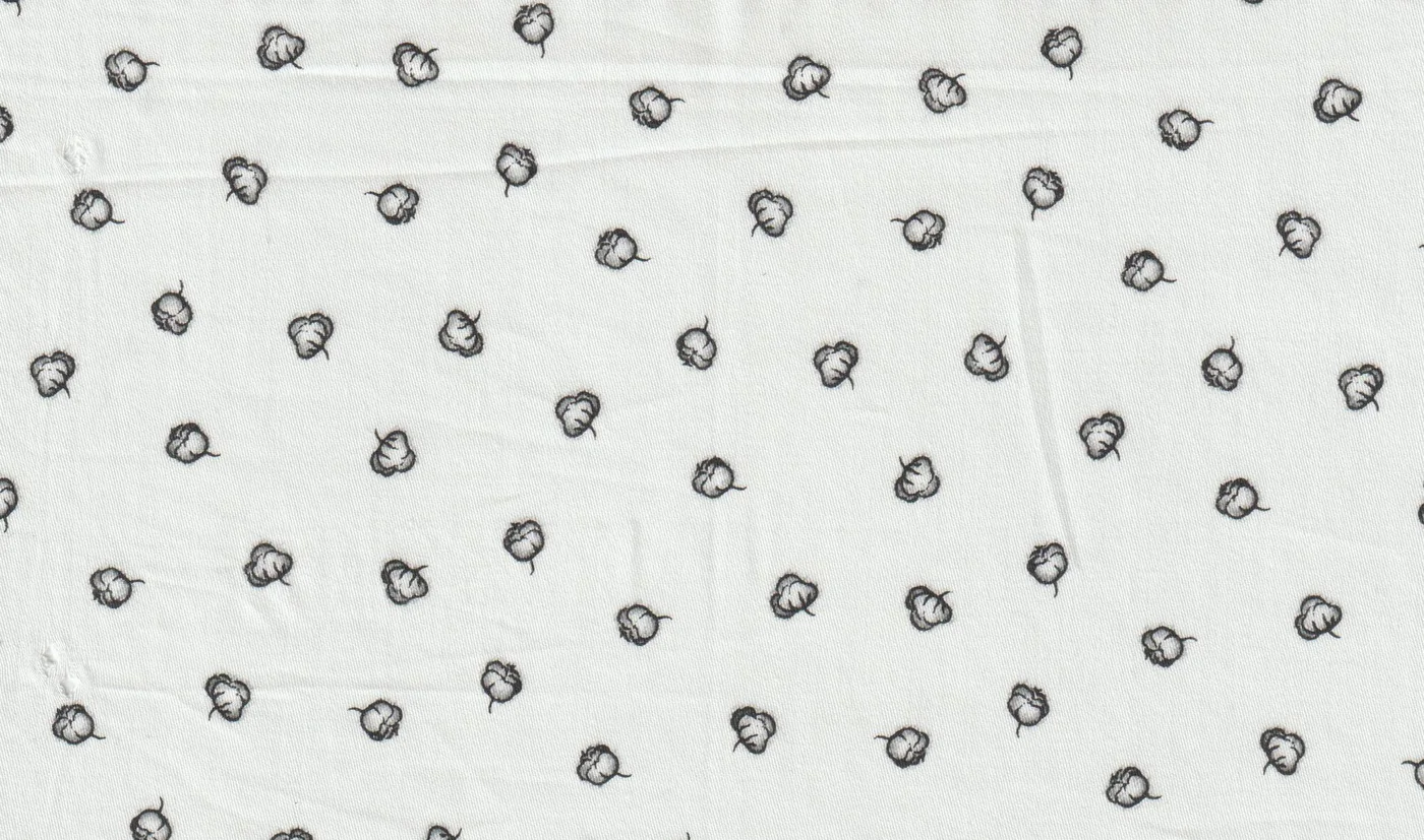 RD Shirting 28915-65 OFF-WHITE ACORN fabric swatch