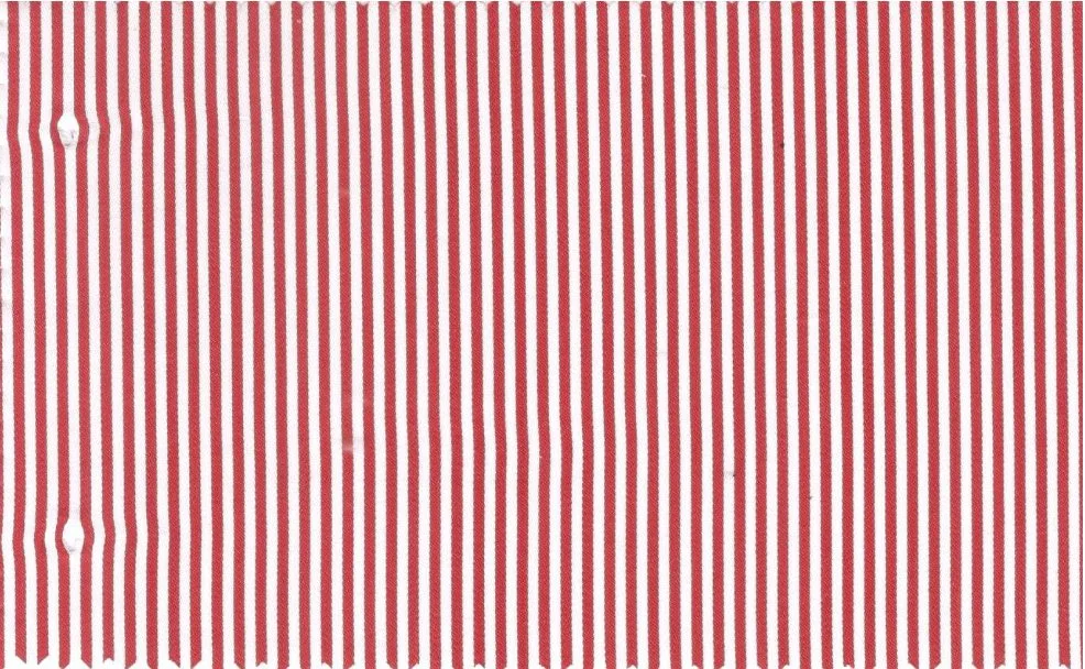 RD Shirting 29328-72 Red Stripe fabric swatch