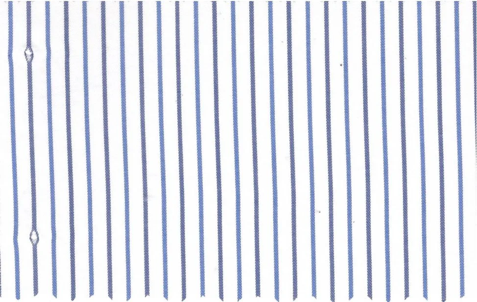 RD Shirting 29350-72 Blue Double Stripe fabric swatch