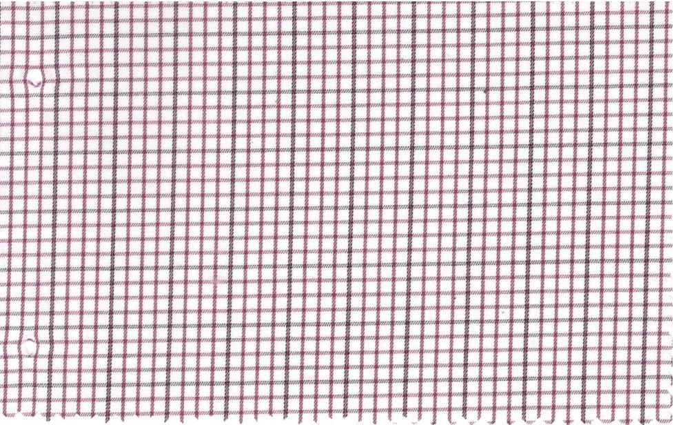 RD Shirting 29380-72 Red Check fabric swatch