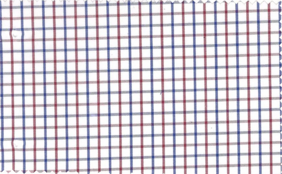 RD Shirting 29382-72 Blue & Red Check fabric swatch