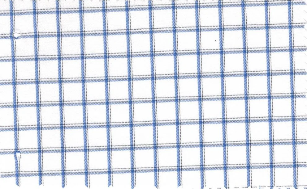 RD Shirting 29383-72 Blue Check fabric swatch