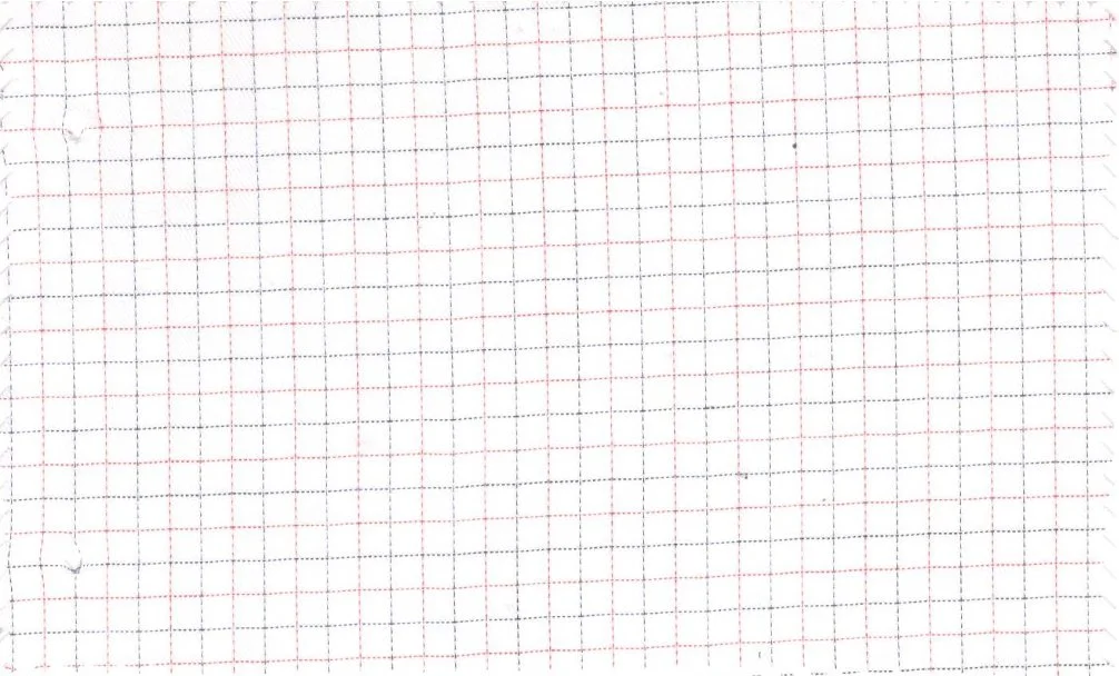 RD Shirting 29386-72 Blue & Red Check fabric swatch