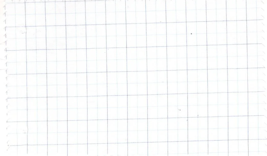 RD Shirting 29392-72 White W/Blue Check fabric swatch