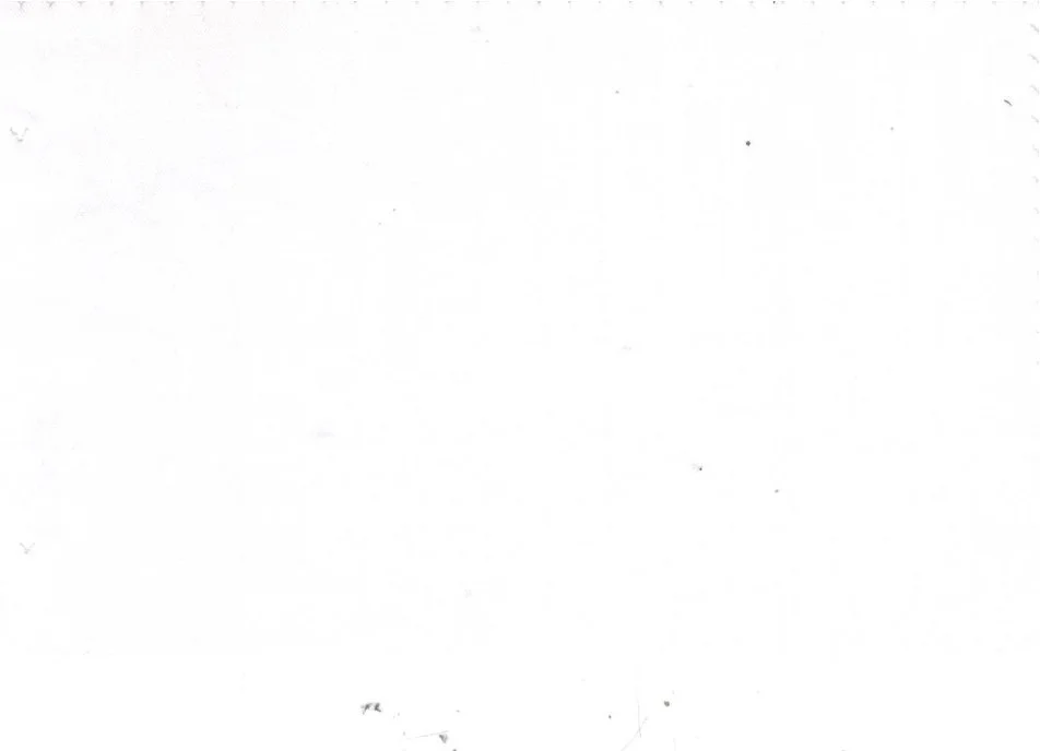 RD Shirting 29412-72 White Herringbone fabric swatch