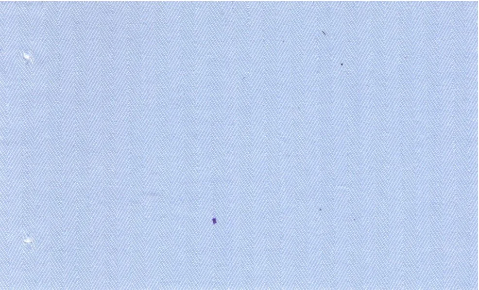 RD Shirting 29413-72 Light Blue Heringbone fabric swatch