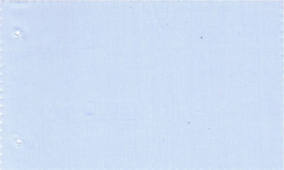 RD Shirting 29416-72 Light Blue Self fabric swatch