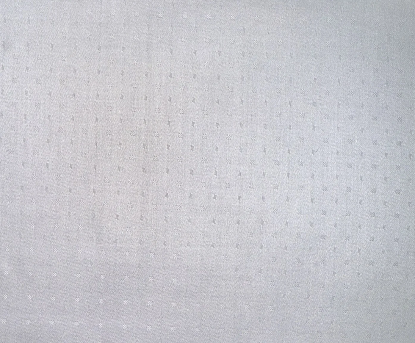 RD Shirting 29435-72 White Dots fabric swatch