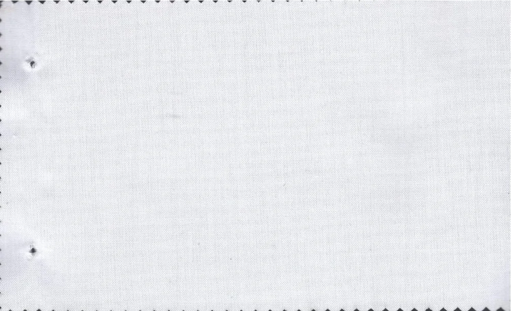 RD Shirting 29446-68 White Pinpoint fabric swatch