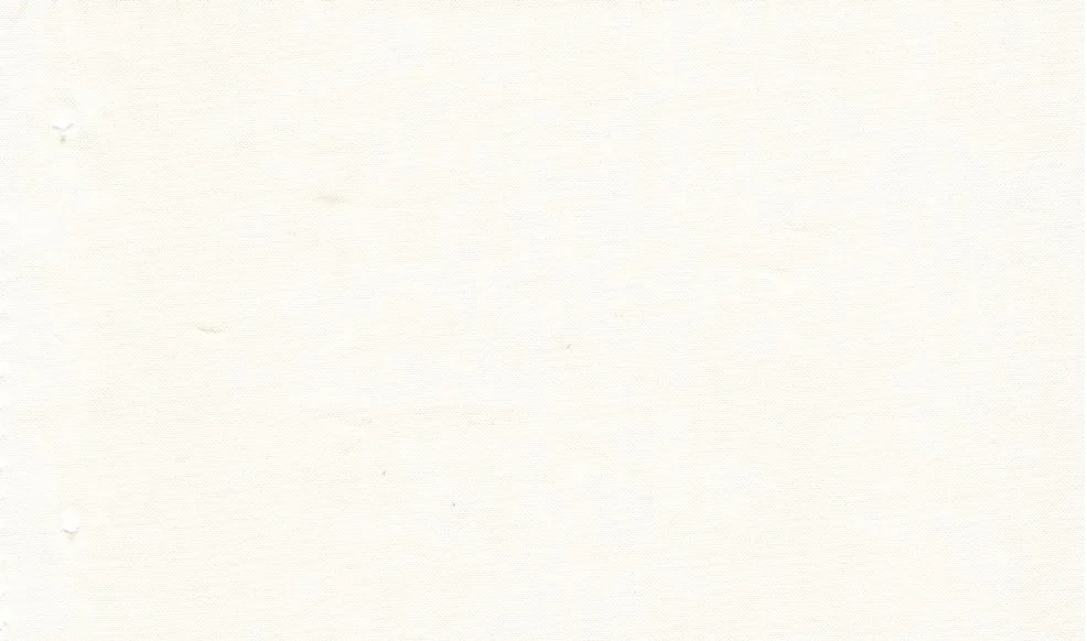 RD Shirting 29452-68 Cream Pinpoint fabric swatch